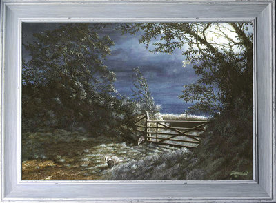Image of Badger Light ~ Coswarth Farm. nr Newquay, Cornwall